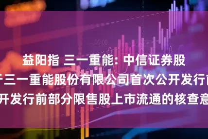 益阳指 三一重能: 中信证券股份有限公司关于三一重能股份有限公司首次公开发行前部分限售股上市流通的核查意见内容摘要