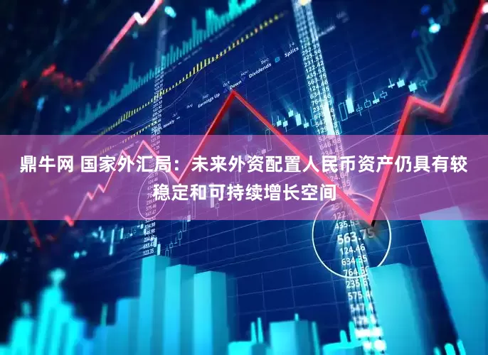鼎牛网 国家外汇局：未来外资配置人民币资产仍具有较稳定和可持续增长空间