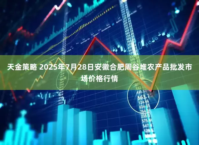 天金策略 2025年7月28日安徽合肥周谷堆农产品批发市场价格行情