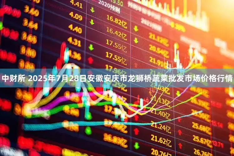 中财所 2025年7月28日安徽安庆市龙狮桥蔬菜批发市场价格行情
