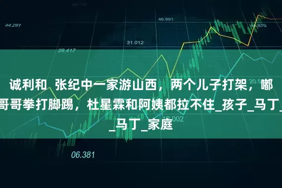 诚利和  张纪中一家游山西，两个儿子打架，嘟嘟对哥哥拳打脚踢，杜星霖和阿姨都拉不住_孩子_马丁_家庭