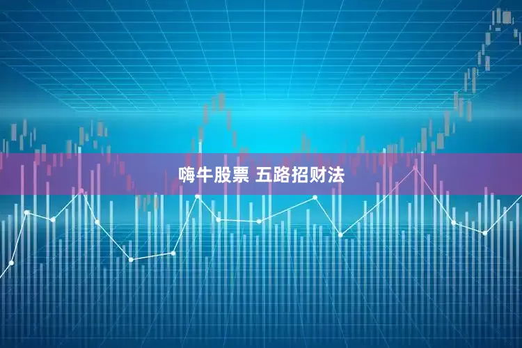嗨牛股票 五路招财法