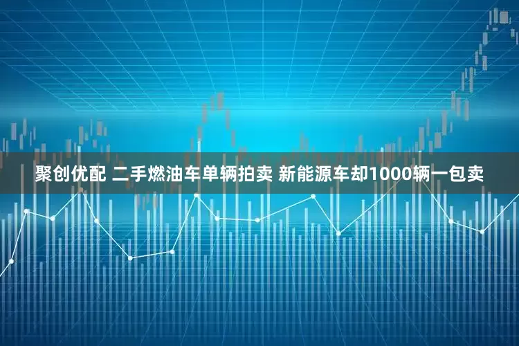 聚创优配 二手燃油车单辆拍卖 新能源车却1000辆一包卖